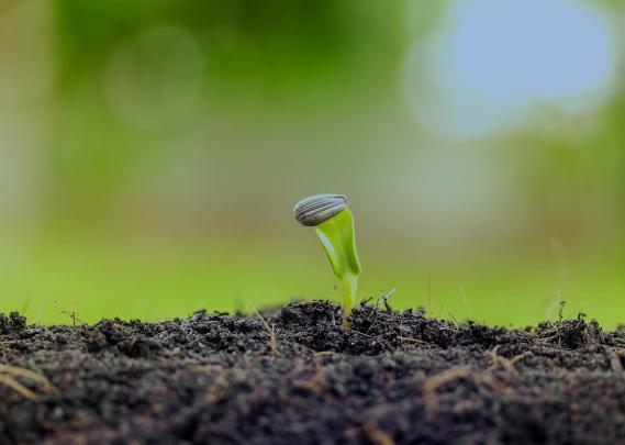 EU - Webinar EPO Coop: Patent protection for EU funding beneficiaries - Green Technologies